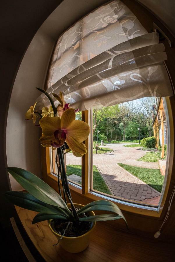 Apartma Marjetica 2 Moravske-Toplice Dış mekan fotoğraf