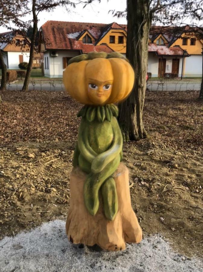 Apartma Marjetica 2 Moravske-Toplice Dış mekan fotoğraf